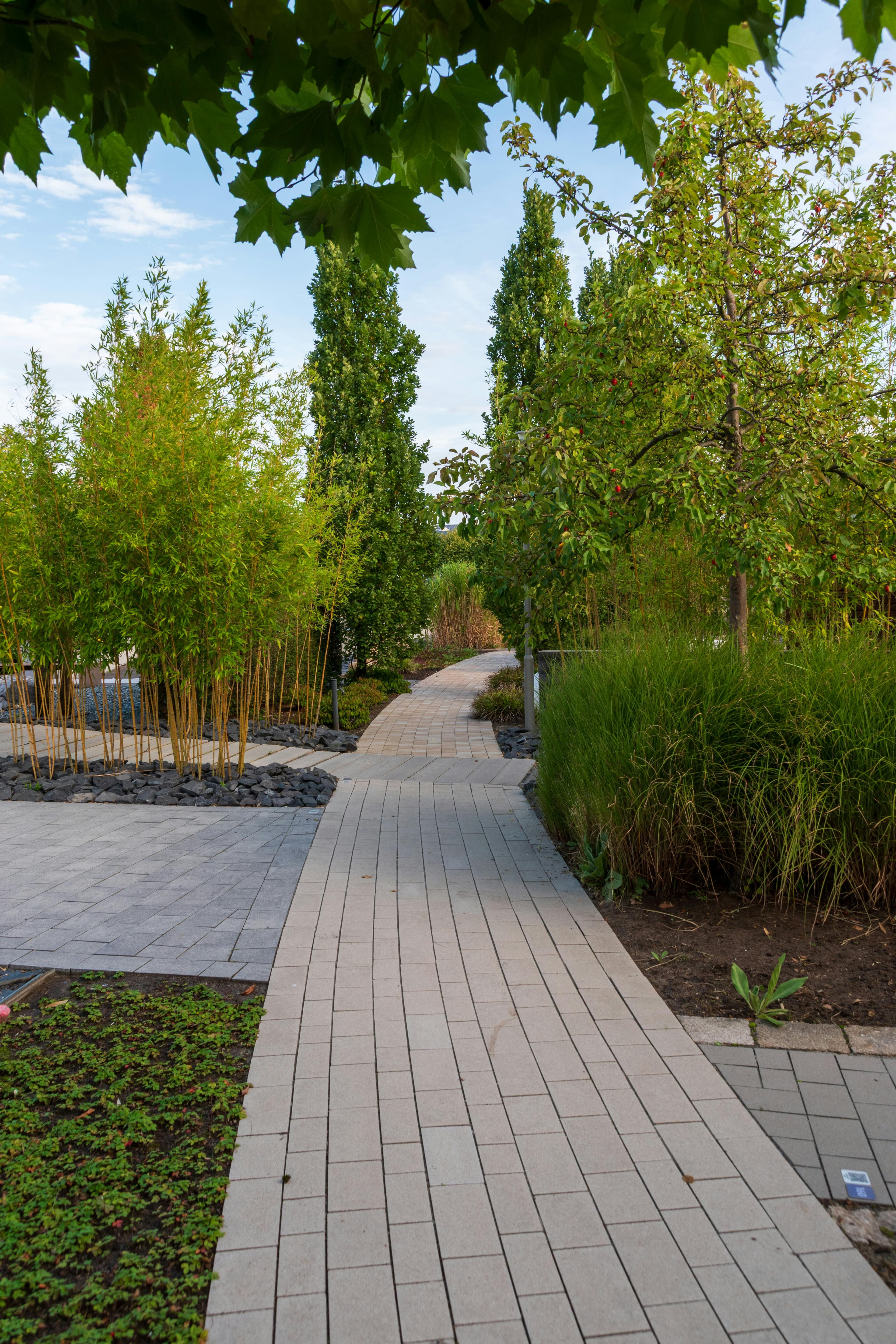 Landscaped walkway and paving work